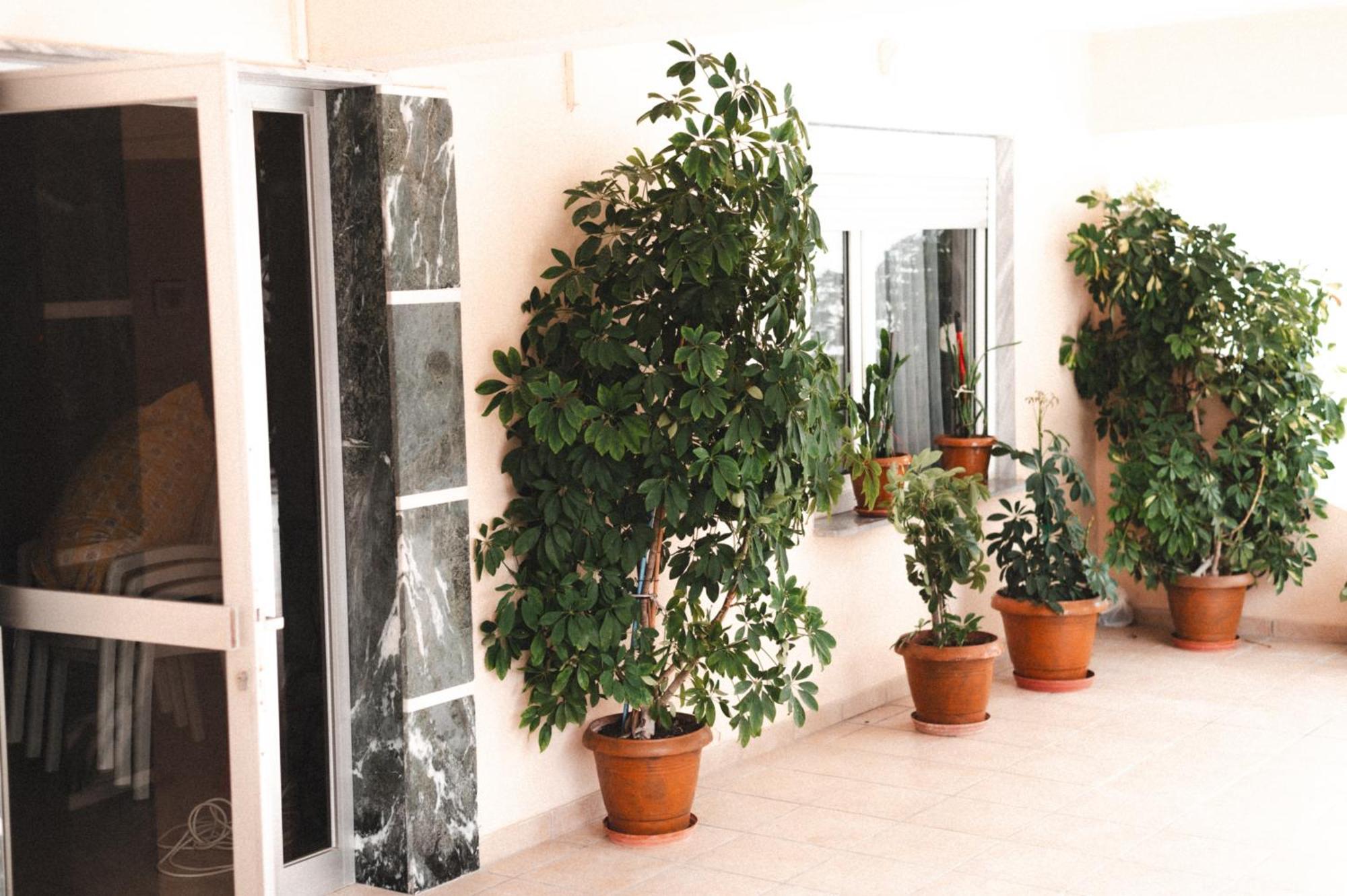 Μpasias Apartments Paralia Katerinis Ngoại thất bức ảnh